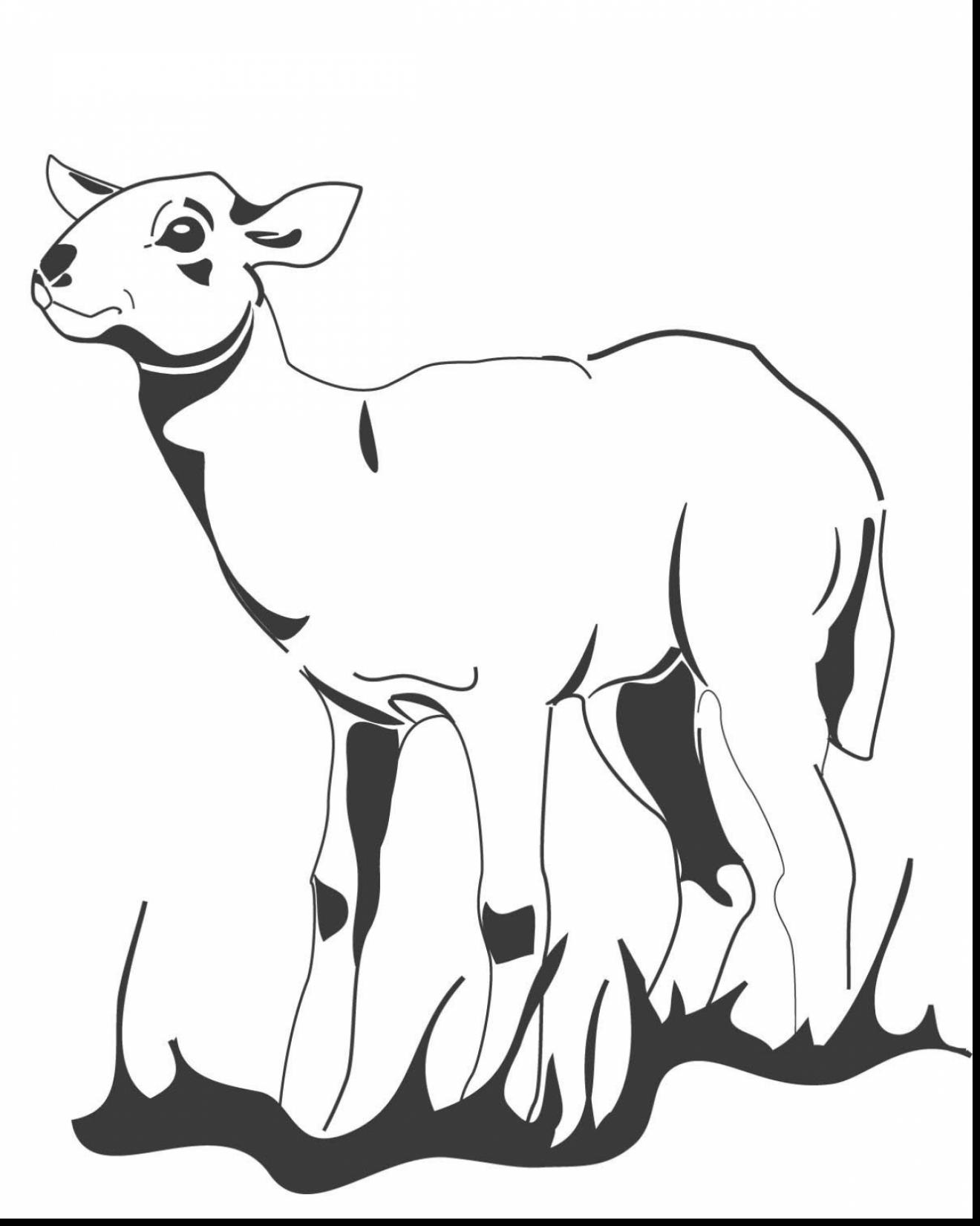 1320x1650 Incredible Lamb Coloring Page With Lamb Coloring Page