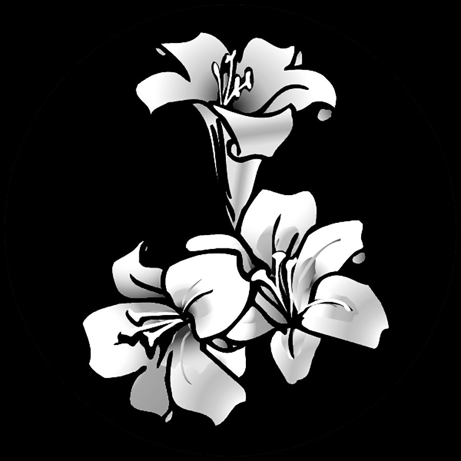 900x900 Apollo Sr 2505 Easter Lily Gobo Pattern Lighting Filters