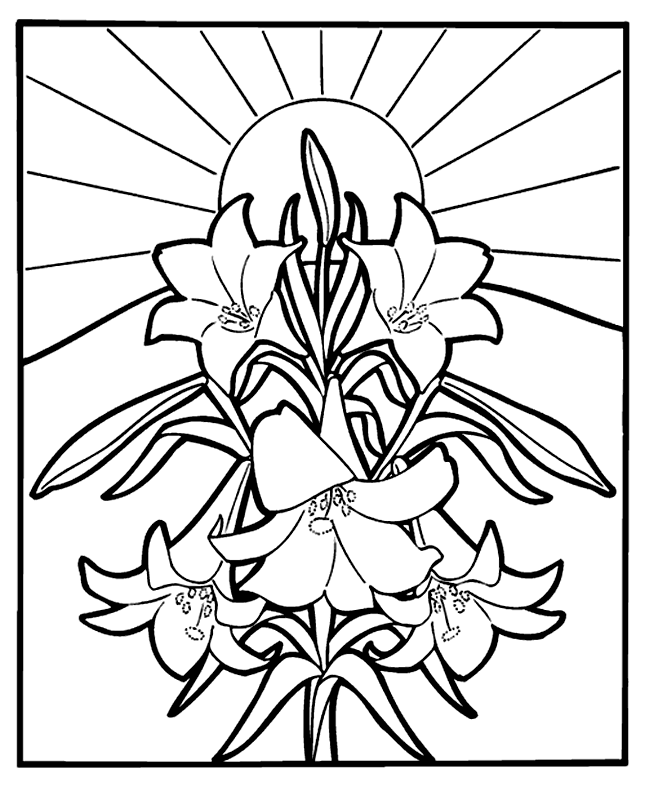 645x787 Easter Lilies Coloring Page