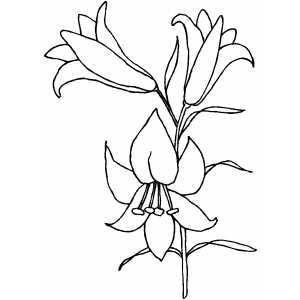 300x300 Easter Lily Clip Art