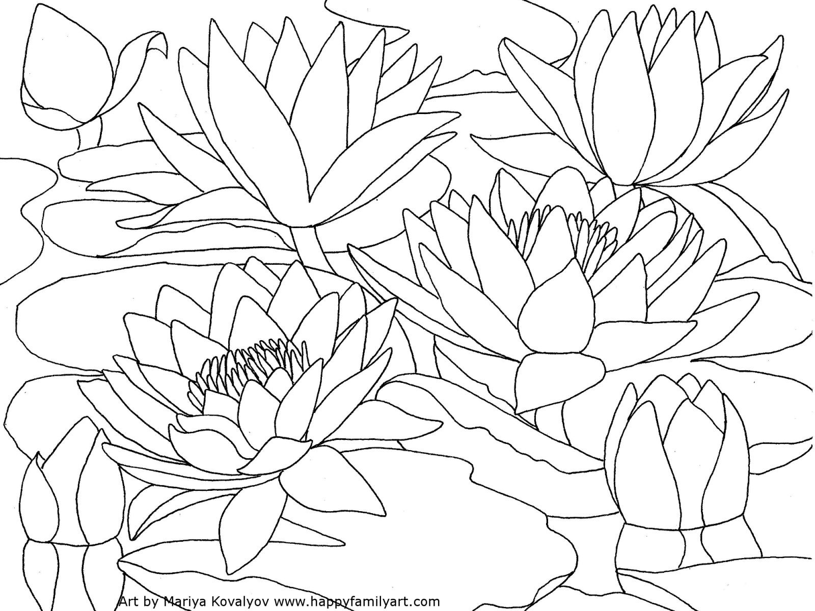1600x1200 Lilium Flower Coloring Pages For Kids Freecolorngpages.co