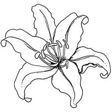 230x230 Top 35 Free Printable Spring Coloring Pages Online