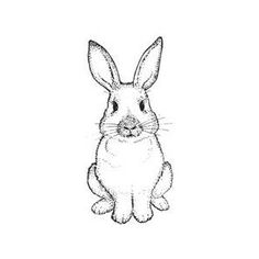 236x236 Drawn Rabbit Face