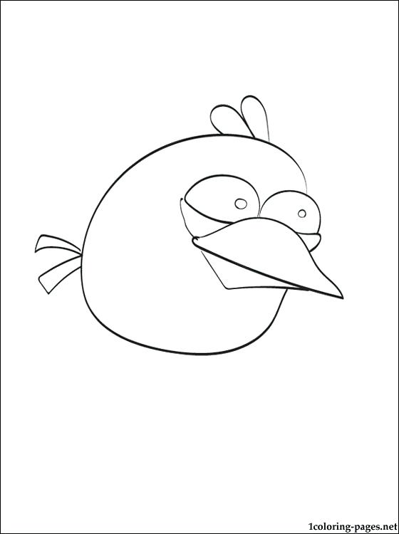560x750 Blue Bird Coloring Page Joandco.co