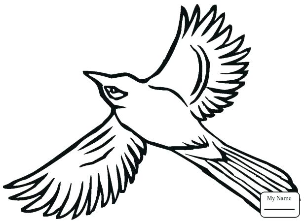 618x451 Chickadee Coloring Page
