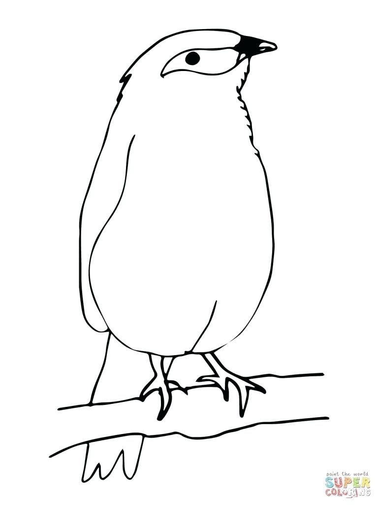 768x1024 Coloring Blue Bird Coloring Pages