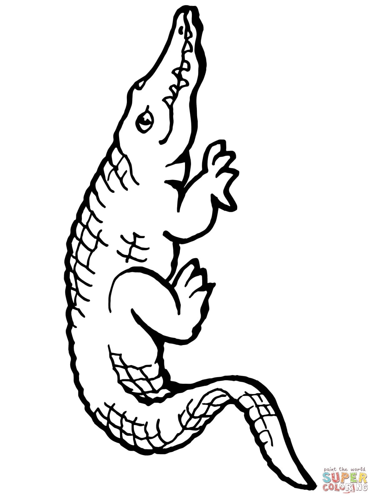 Easy Alligator Drawing at GetDrawings | Free download