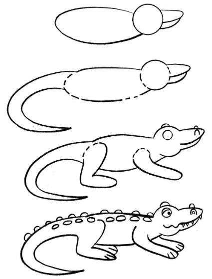 Easy Alligator Drawing at GetDrawings.com | Free for ...