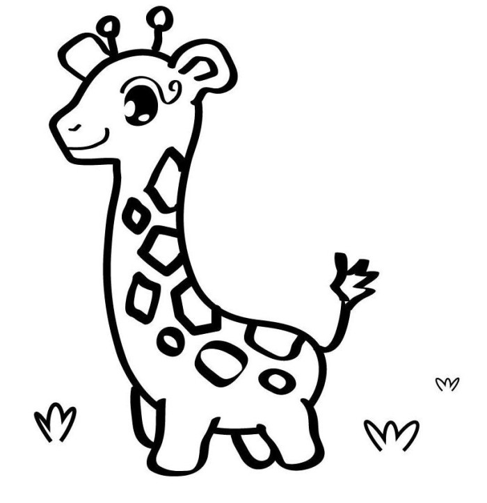 700x723 Easy Animal Coloring Pages Easy Cute Step By Animal Drawings