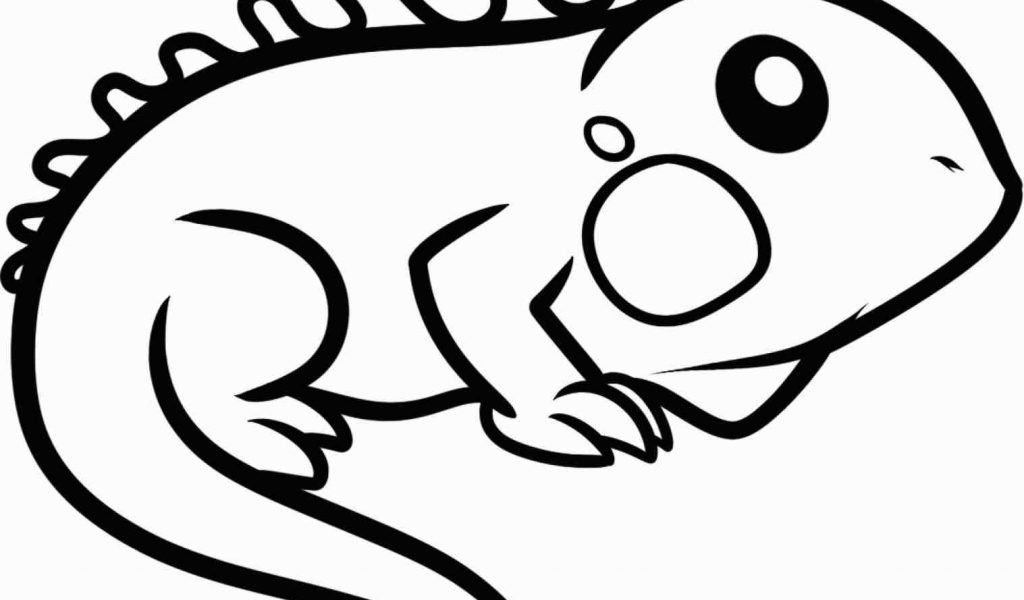 1024x600 The Images Collection Of Easy Animal Drawing For Kids Pencil