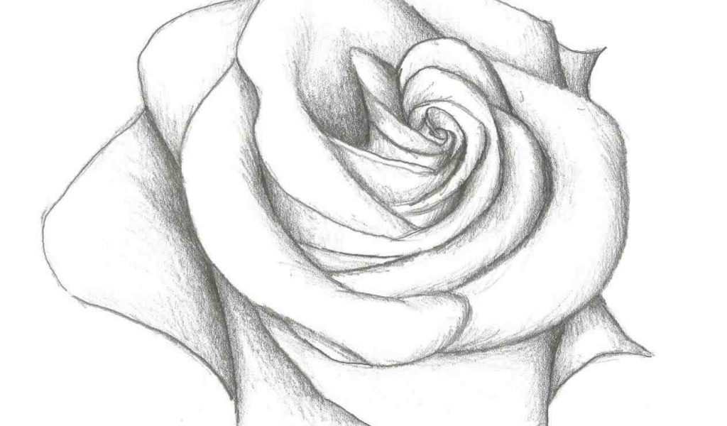 1024x600 The Images Collection Of Drawing Free Download Clip On Simple