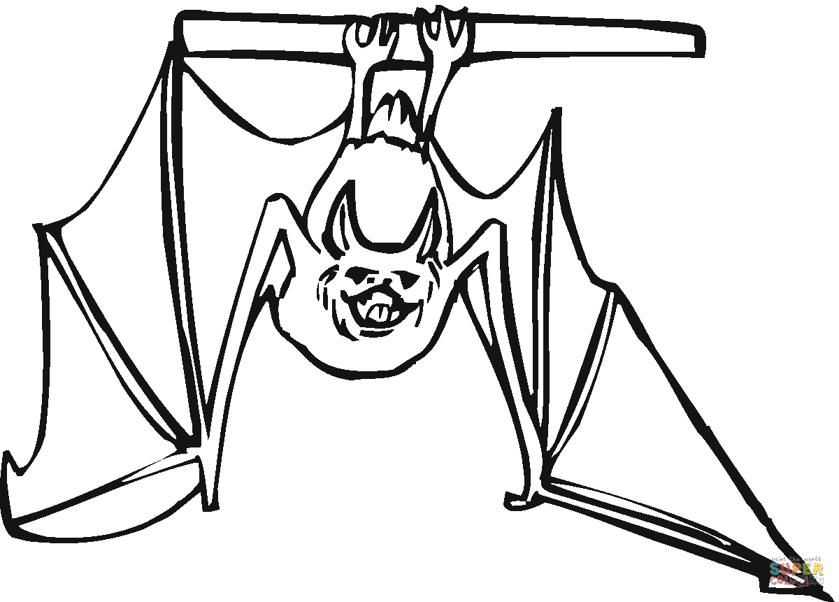 1200x861 Easy Bats Coloring Pages Page Bat Free Draw To Color
