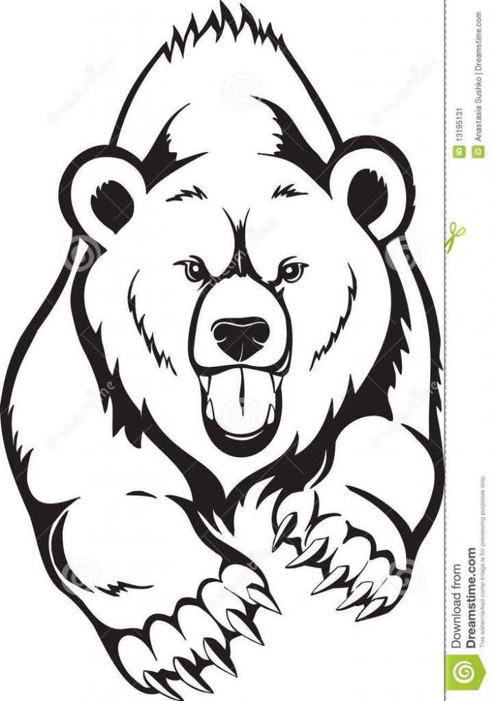 720x1024 Easy Drawing Of A Bear Best 25 Bear Sketch Ideas On Bear