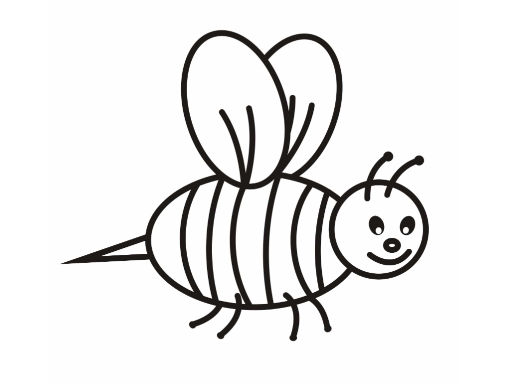 1024x768 For Toddler Drawing Bee Newborn Baby Drawings