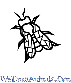 300x350 How To Draw A Carpenter Bee