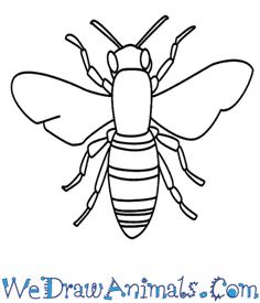 236x275 How To Draw A Honey Bee Step By Step. Drawing Tutorials For Kids