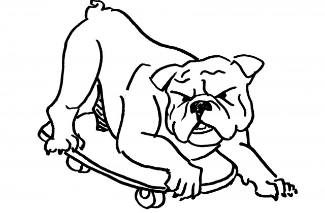 Easy Bulldog Drawing at GetDrawings | Free download