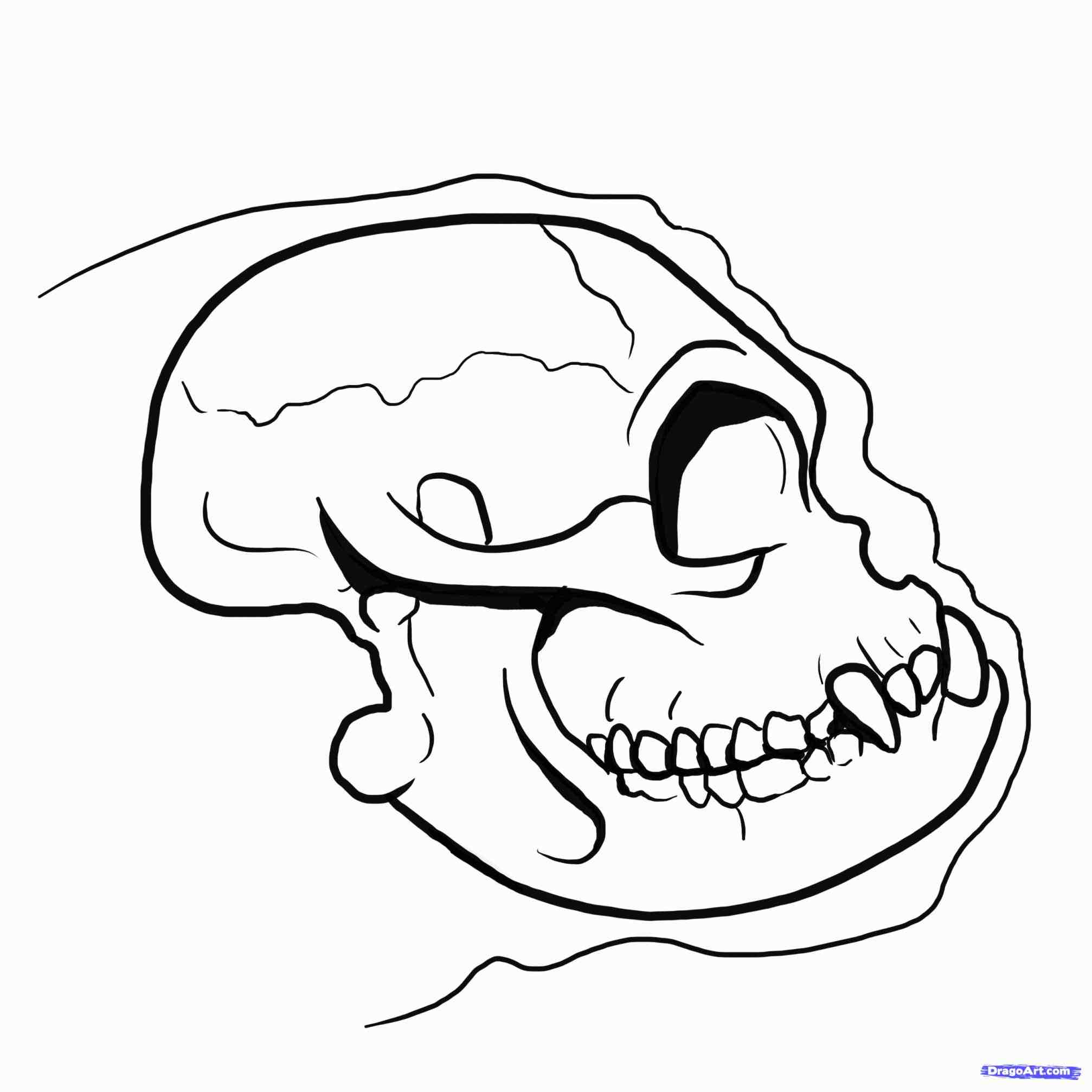 2014x2014 How To Draw A Bulldog Step By Step Easy