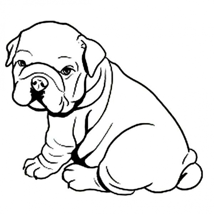 730x730 Bulldog Drawing Simple Shapes Coloring Bulldog Drawings Mascot