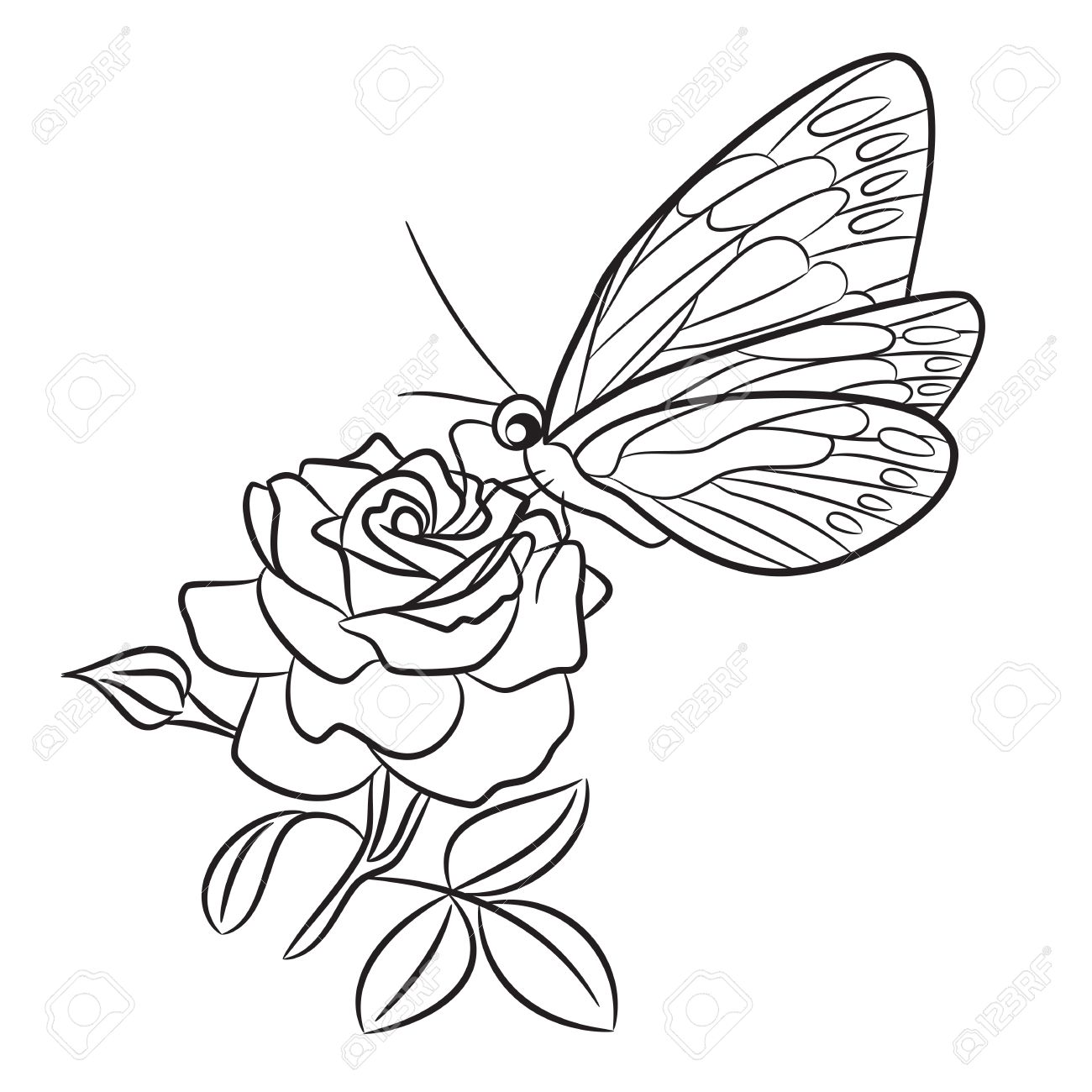 1300x1300 Butterfly On Blooming Rose, Small Bud And Leaf. Black Easy Drawing