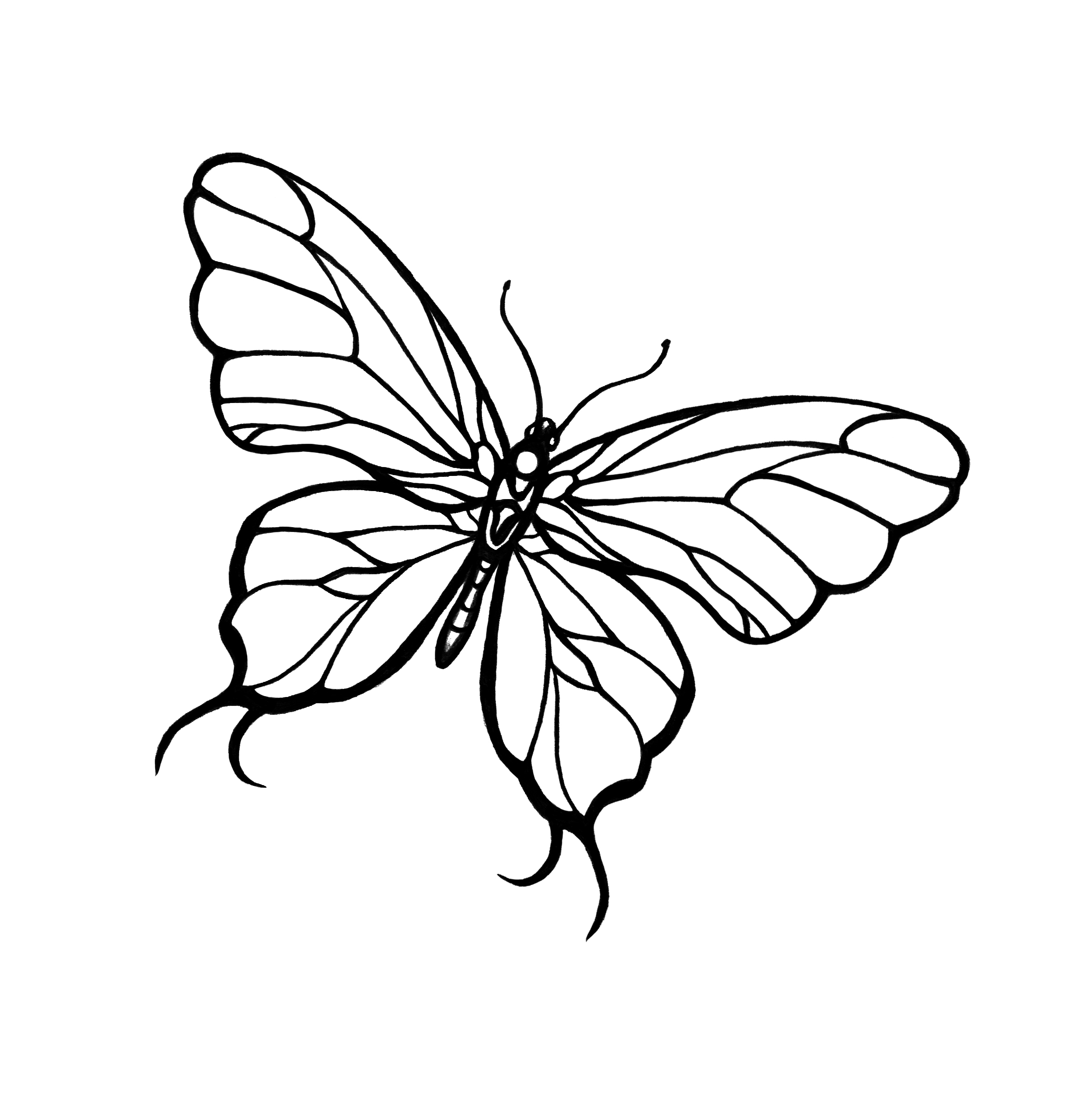 2456x2464 Simple Drawing Of Butterfly Simple Flying Butterfly Drawing 48677