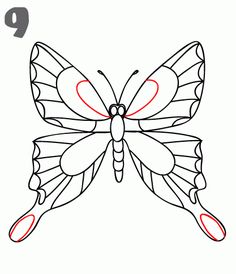 236x274 How To Draw A Butterfly On A Flower, Butterfly And Flower Step 6