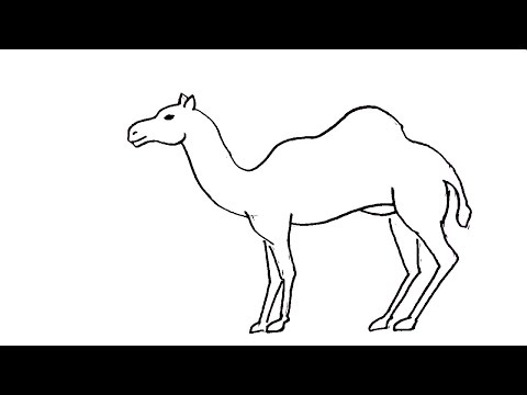 480x360 How To Draw A Desert Scenery With Camels Step By Step