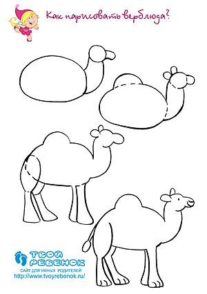 300x425 Kameel Tekenen