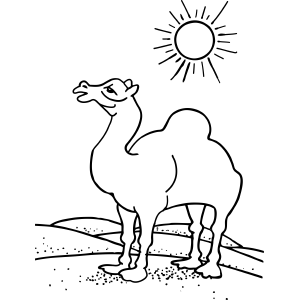 300x300 Camel In Desert Sun Coloring Page