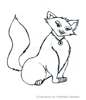 300x350 Cartoon Cat Drawing Easy