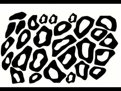 480x360 How To Draw Cheetah Print Step By Step Easy For Beginners Simple