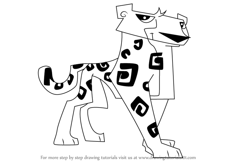 800x566 Step By Step How To Draw Cheetah From Animal Jam