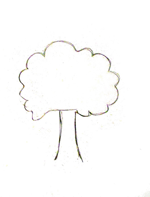 527x690 How To Draw A Tree