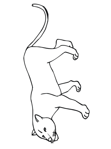 360x480 Cougar Or Puma Or Panther Or Mountain Lion Coloring Page Free