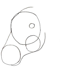 250x298 How To Draw A Horse Head