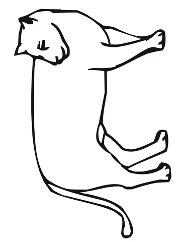 360x480 Mountain Lion Looks Back Coloring Page Free Printable Coloring Pages