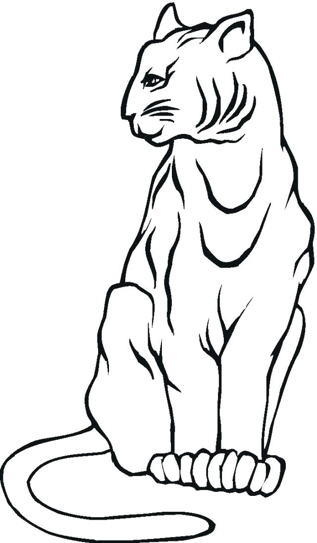 640x1095 Mountain Lion Coloring Page Synthesis.site