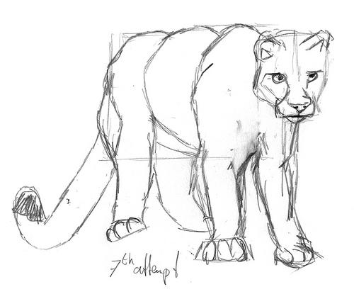 500x415 Cougar, Part 2 So Much To Do, So Little Time