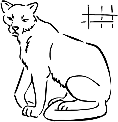 467x480 Cougar Coloring Page Free Printable Coloring Pages