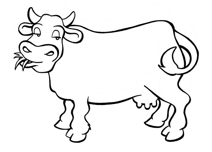 Easy Cow Drawing
