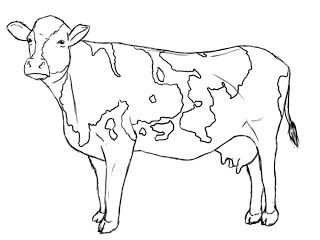 320x240 The Best Cow Drawing Easy Ideas On Choses Faciles