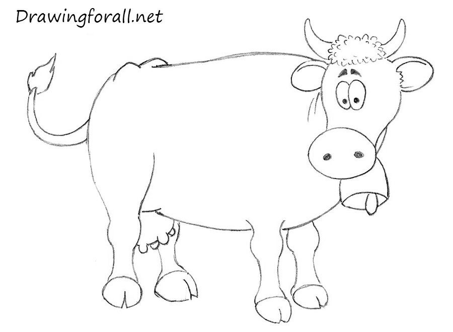 900x660 How To Draw A Cow Easy Cartoon Anime Amp Illustration