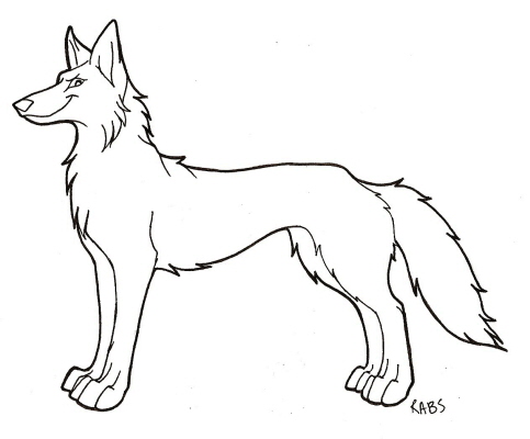 483x400 Coyote Template By Rabastan