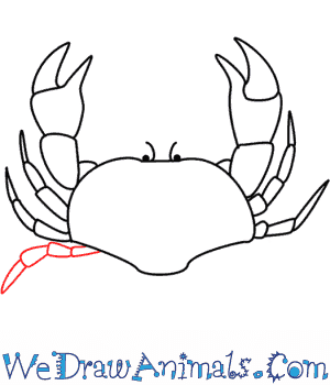 300x350 How To Draw A Crab