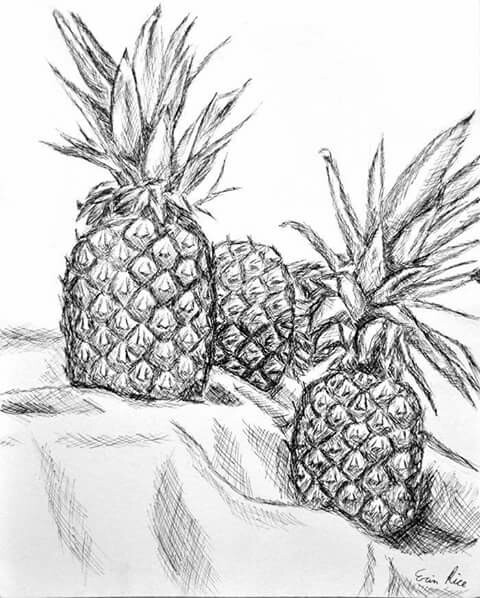 480x598 Cross Hatching Still Life Sketch Cross Hatching