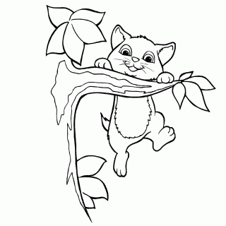 320x320 Tag For Cute Kitten Printable Coloring Pages Pusheen Coloring