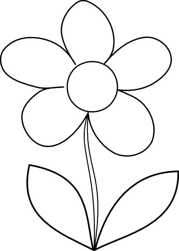 600x840 How To Draw Daisy Flower Coloring Page Paintings