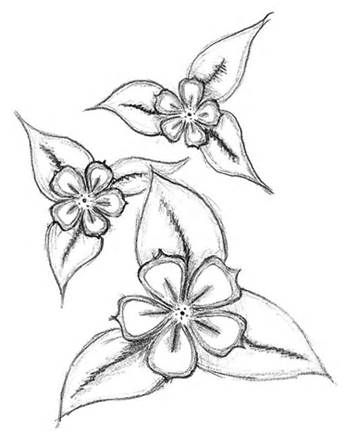 351x444 The Best Easy Drawings Of Flowers Ideas On Easy