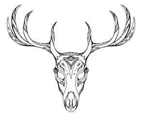 293x240 Search Photos Deer Head
