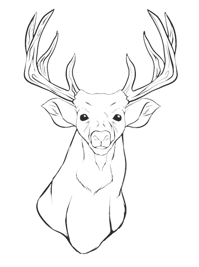 680x911 Deer Head Coloring Pages Art